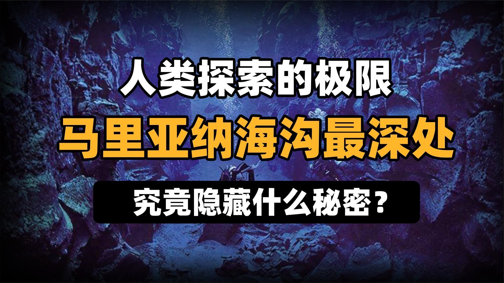 2024新奥正版资料免费——全方位解读与深度探索｜试探集R89.682