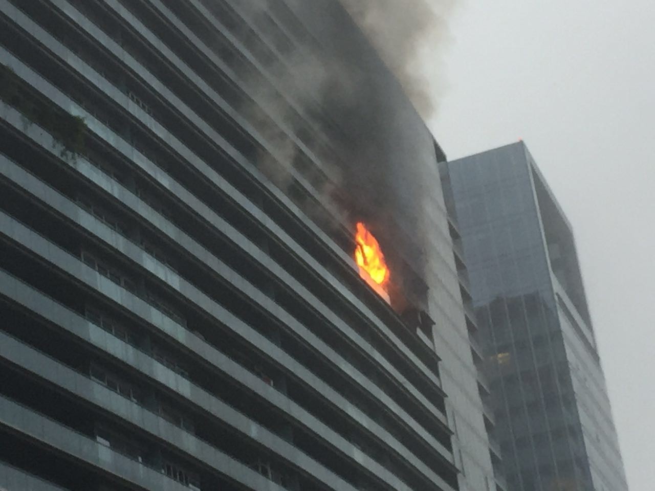 杭州纵火事件进展追踪