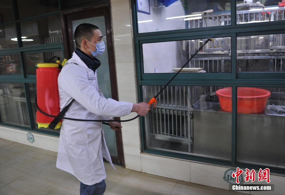 陕西h7n9最新疫情-陕西H7N9疫情最新动态