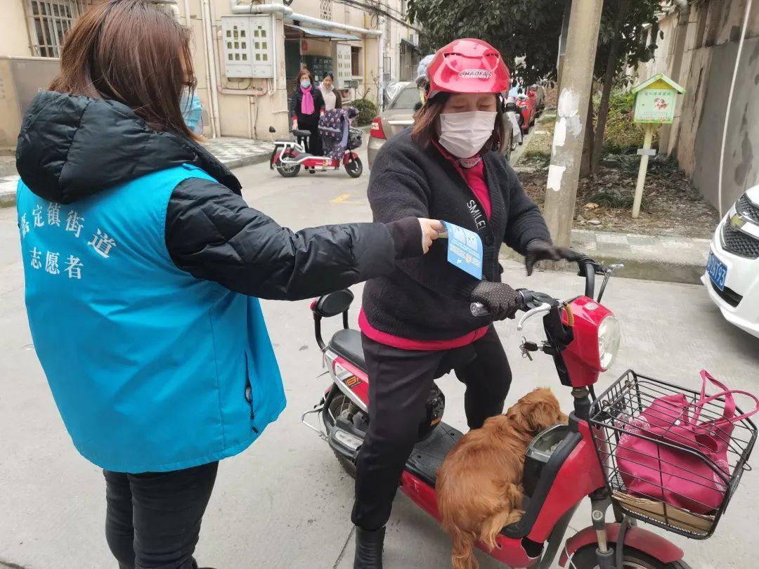 最新犬类饲养规范解读