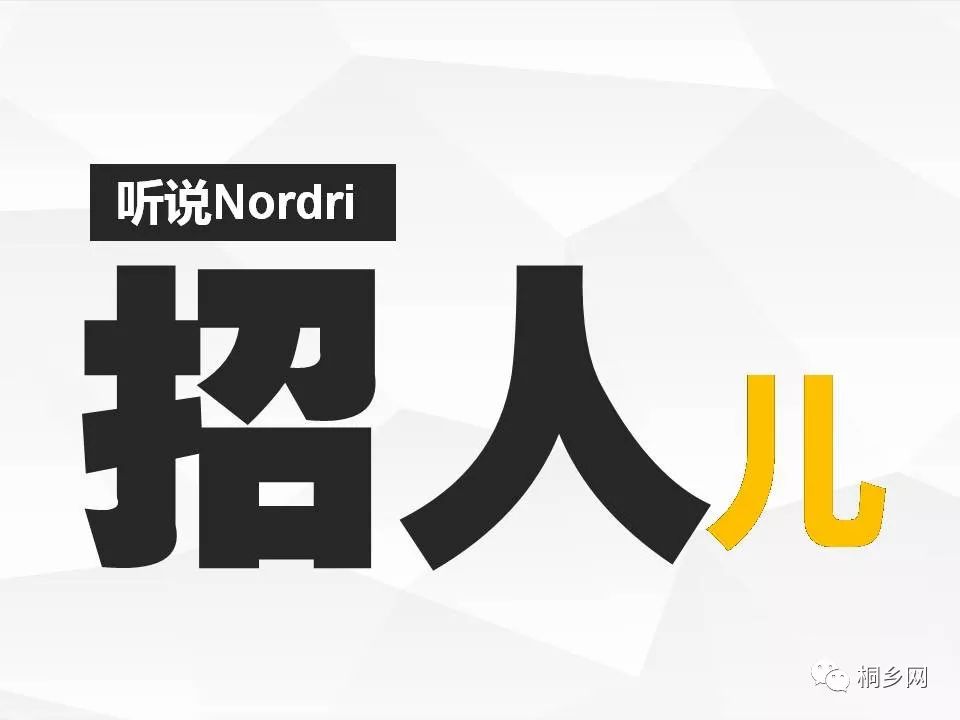 桐乡最新招聘信息网