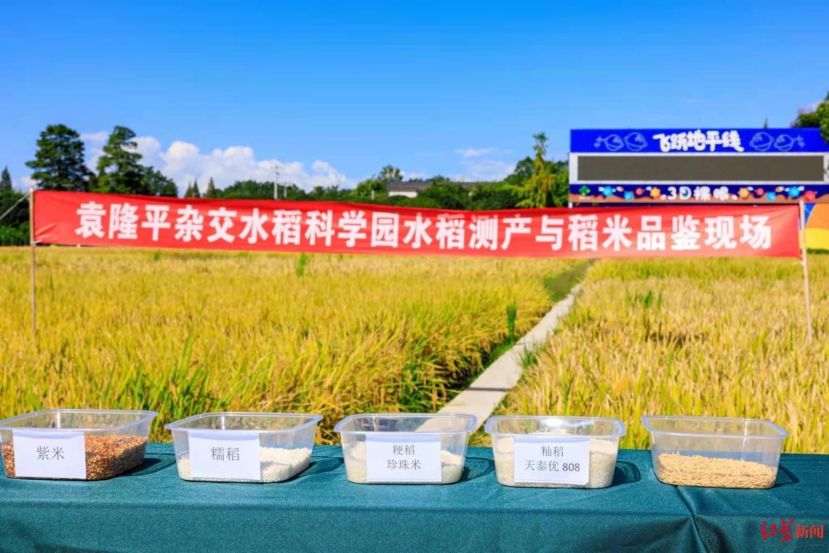 天泰时光印象喜讯连连，美好未来尽在掌握