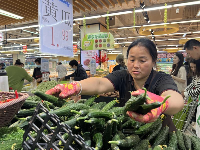 泰安玉米市价动态